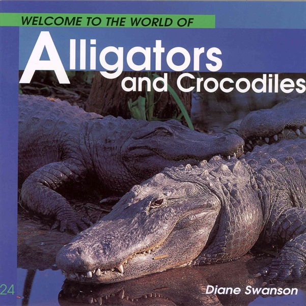 Welcome To The World Of Alligators And Crocodiles Detail